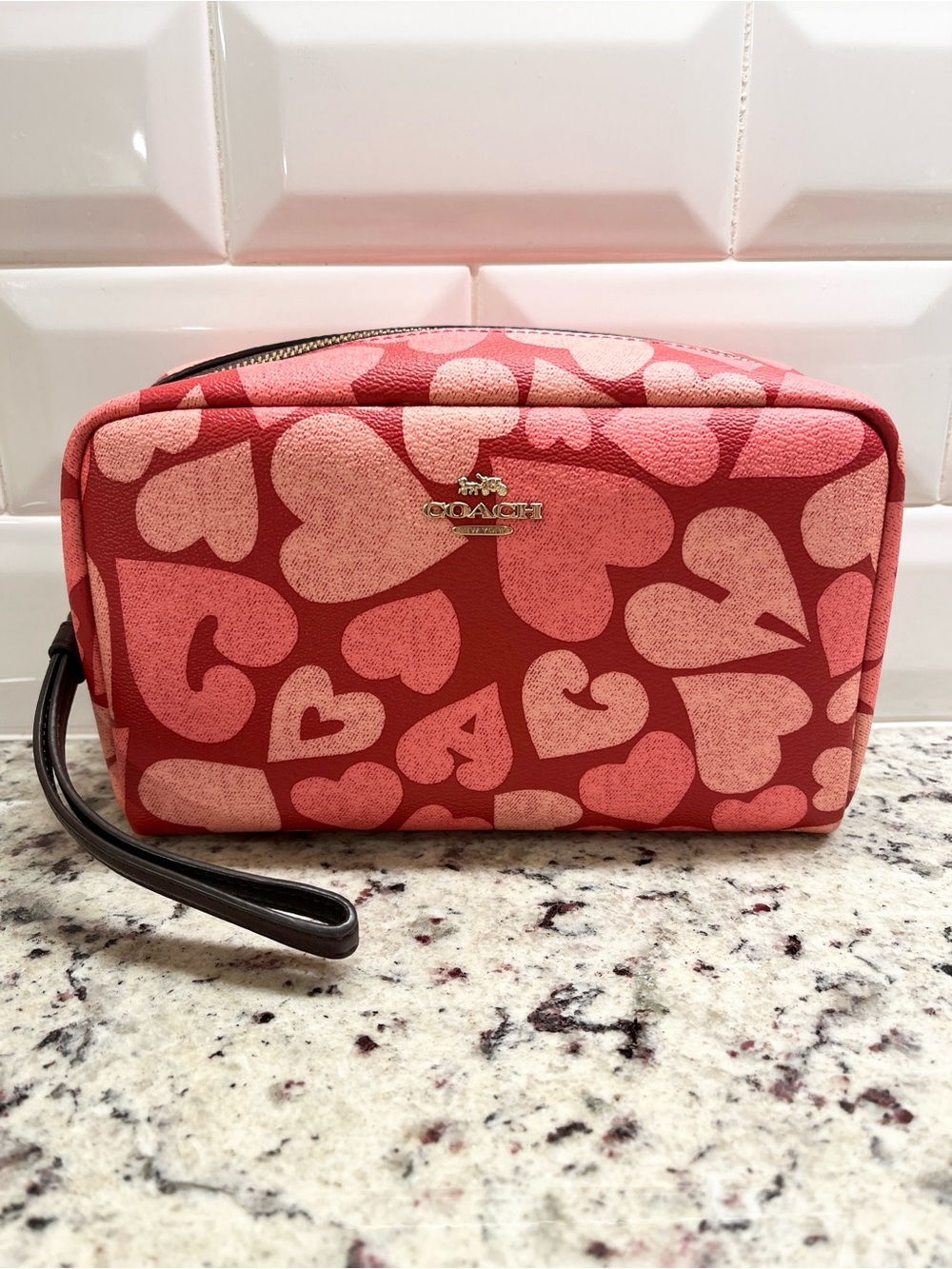 Coach Boxy Cosmetic Case in Heart Print NWOT